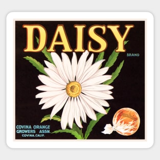 Daisy Sunkist Crate La Sticker